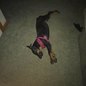 Meet your Posher, Ethan